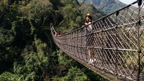 步步驚心森林浴 桃園小烏來天空步道
